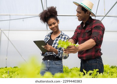 Two asian gardeners working in hydroponics vegetable farm holding tablet walking checking vegetables for harvest, male and female farmer holding green salad box looking at camera with smile in farm - Shutterstock ID 2299440383