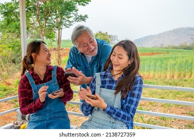 Two Asian Woman Daughter Teach Senior Man Father Using Smartphone With Internet. Happy Farm Owner Family Working In Organic Rice Paddy Wheat Field. Agriculture Product Industry And Technology Concept