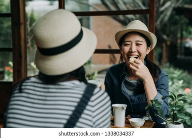 Two Asian Woman Travelers In Hats Sitting In Japanese Style Old Wooden House Experience Culture Of Sado. Happy Girl Friends Chatting Laughing While Eating Sweet Snacks Drinking Matcha Green Tea Teien