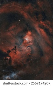 Two astronomical objects as a single object: the Cone Nebula, and the Christmas Tree Cluster