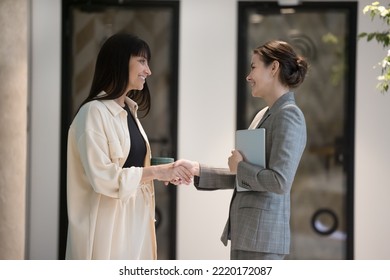 Two attractive business women, colleagues greeting, handshaking while talking standing in office hall. Successful businesswomen, professionals shaking hands, express respect, meet in company hallway