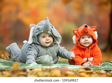 Two baby boys dressed in animal costumes in autumn park, focus on baby in elephant costume