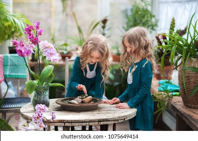 Two Baby Sisters In A Winter Garden Behind An Old Wooden Wooden Rustic Table With Flowering Orchids And A Tub Of Water And Stones. Little Girls Play With Stones And Orchids