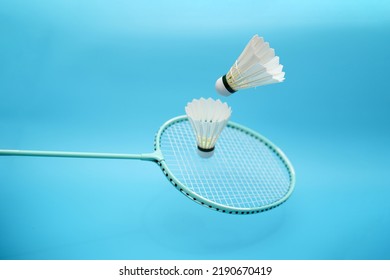 Two badminton shuttlecock and badminton racket on blue background