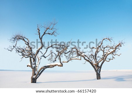 Similar – trees in an ice of lake