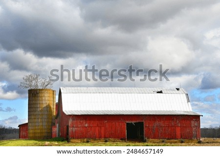 Two barns stand together.  Both are wooden and painted red.  Front barn has silo with tree growing out of it.  Both are in North Carolina.