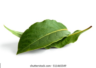 Two bay leaves isolated on white.