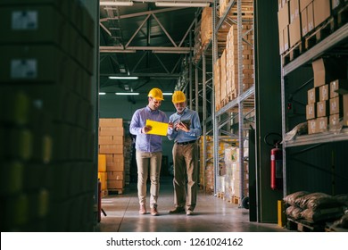 Two bearded businessmen with helmets on head comparing documents while standing in warehouse.
