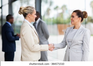 two beautiful businesswomen handshaking in office