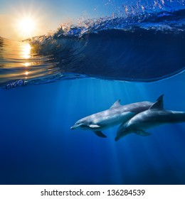 two beautiful dolphins swimming underwater through sunrays with breaking wave above