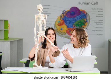 2,652 Human skeleton sitting Images, Stock Photos & Vectors | Shutterstock