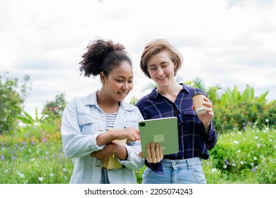 Two Beautiful Multi-ethnic Students In The Park. Further Education. Scholarships. Concept Of Colleges And Universities. Informal Education. Educational Concept. Positive Concept. Summer Vacation.