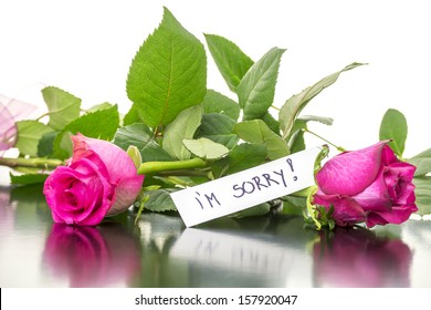 I Am Sorry High Res Stock Images Shutterstock