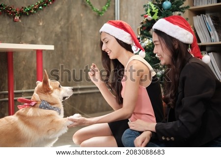 Two beautiful young female workers in red hats are teasing a dog at a business office party, Decorative for celebrating the Christmas festival and New Year's holidays.