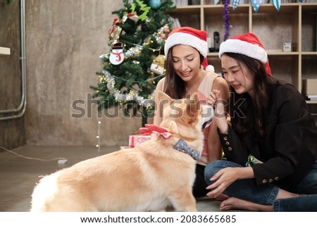 Two beautiful young female workers in red hats are teasing a dog at a business office party, Decorative for celebrating the Christmas festival and New Year's holidays.