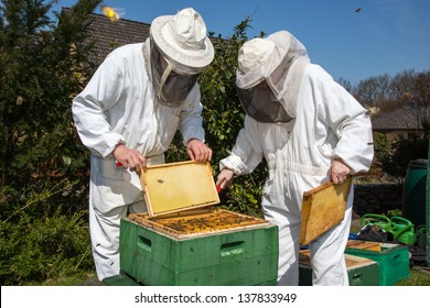 Two Beekeepers Maintaining Beehive To Ensure Health Of The Bee Colony Or Honey Harvest