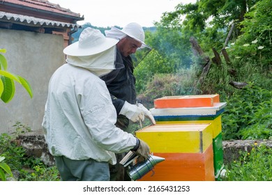 Two Beekeepers With Protective Workwear In An Apiary Inspect The Bee Hive On A Summer Morning. Beekeeping Concept