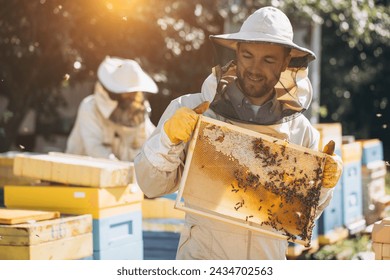Two beekeepers works with honeycomb full of bees, in protective uniform working on a small apiary farm, getting honeycomb from the wooden beehive. Apiculture. Experience transfer concept