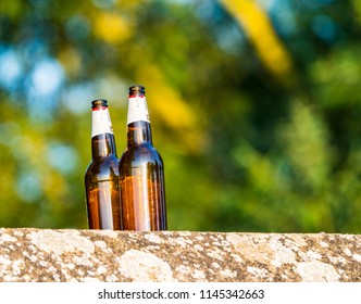 Two beer bottles dumped a garbage