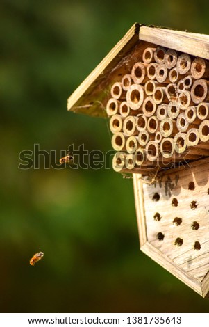 Two bees hover just to the left of a handmade beehive, comprised of tightly bunched bamboo sections and a wooden frame, with a green blurred background.