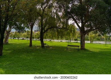 Two benches in a city park under the shade of tall trees in the morning of a summer day. A pond and town houses are visible in the background.