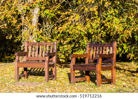 two benches in the park, autumn and leaves lie on the ground, sunny day, beautiful nature, yellow foliage, lonely, natural landscape, in the background autumn yellowing bushes, october