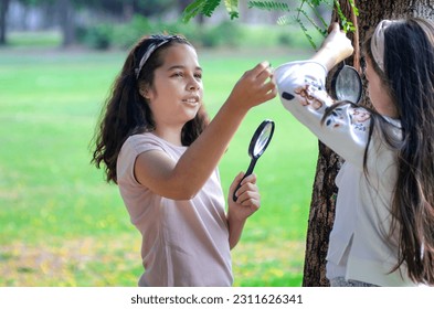Two best friends take an interest in something and look at it with a magnifying glass, learning outside the classroom concept - Shutterstock ID 2311626341