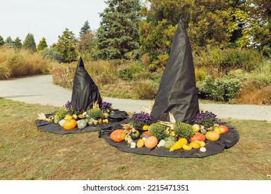 Two Big Halloween Witch Hats With Pumpkins And Autumn Flowers. Outdoor Fall Decoration. Yard Decor And Holiday Decor Ideas For Party. Selective Focus, Copy Space