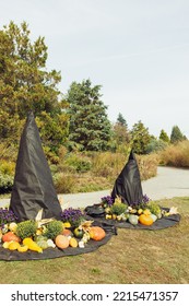 Two Big Halloween Witch Hats With Pumpkins And Autumn Flowers. Outdoor Fall Decoration. Yard Decor And Holiday Decor Ideas For Party. Selective Focus, Copy Space