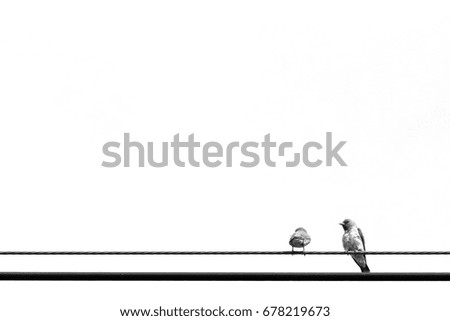 Similar – boy leaning on fence