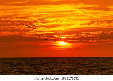 Two Birds Are Flying Into The Vibrant Orange Ocean Sunset - Shutterstock ID 1963178632