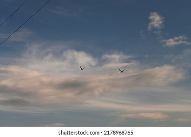 Two Birds Flying In The Sky With Clouds