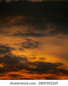 Two Birds Flying Through Dramatic Orange Sunset Sky
