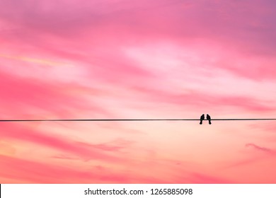Two birds on a wire or electric line on the sunset sky background. Minimal. Family Concept 