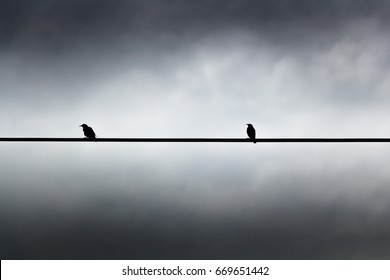 Two Birds Sit On A Wire Against A Gray Sky