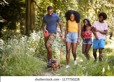 Two Black Couples Walking With A Dog In A Forest