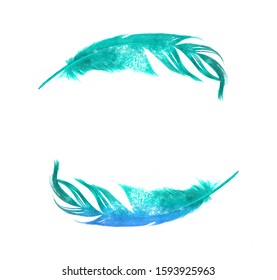 two blue bird feathers