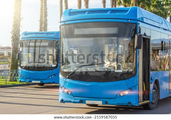 Two blue city\
passenger buses at the bus terminus waiting for passengers to\
depart for the route line
