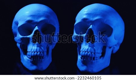 Two blue human skulls on black background