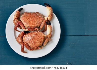 Two boiled stone crabs on white plates on a blue surface. Top view
