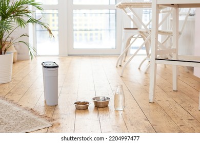 Two Bowls For Animals And A Gray Container With Animal Feed, Stand On A Wooden Floor In A Bright Kitchen