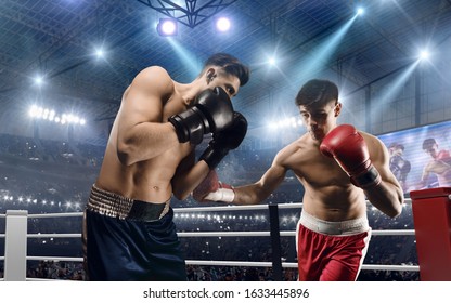 Sportsmen Fighting Boxing Ring Stock Photo (Edit Now) 515930224