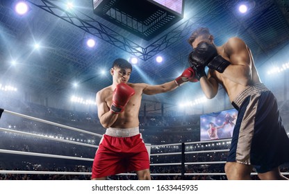 Mma Fighters On Ring Fighting Championship Stock Photo 1431936839 ...