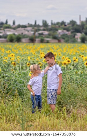 Two boys brother have fun in the field of sunflowers, summer, the concept of friendship.