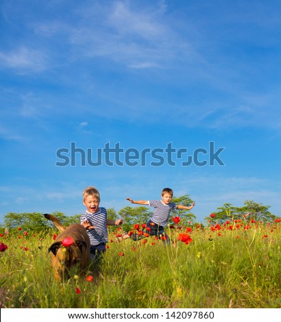 Two boys and dog playing on the poppy field