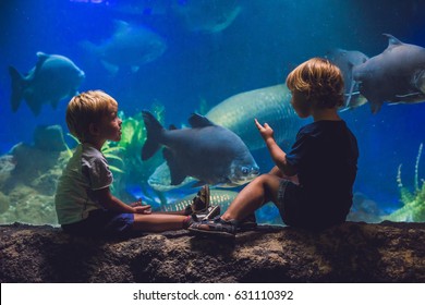 Two boys look at the fish in the aquarium.