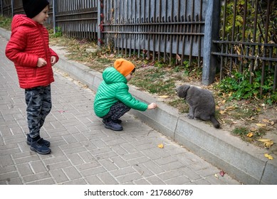 Two Boys Playing Outdoor With Cat. Kid With Ginger Cat On Autumn Background. Beautiful Portrait Of Boy With Ginger Cat. Play Outdoors In Park.