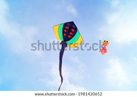 Two bright kites fly in the wind