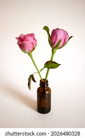 Two Bright Pink Roses In Transparent Brown Colored Glass - Upcycling Beauty Container - Repurpose Skin Care Glass As A Tiny Minimal Flower Vase - Aesthetic Home Decoration 