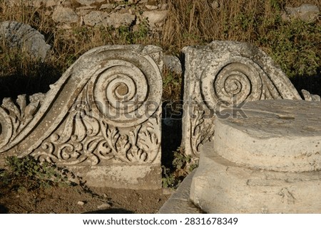 Two broken stone blocks featuring beautifully carved spiral volutes and leaf patterns among the ancient ruins at the archaeological site of Ephesus.